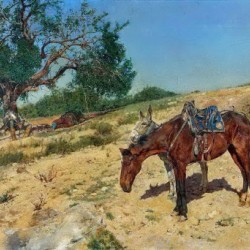 People and horses resting